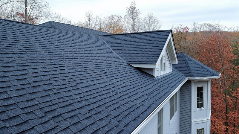 Roof Material Options